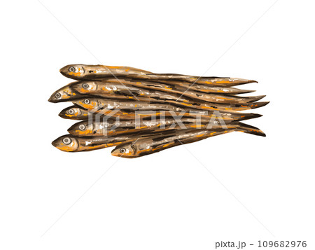 田作り　ごまめ　田作　おせち　正月　お正月　謹賀新年　年賀状　縁起物　イラスト　年賀 109682976