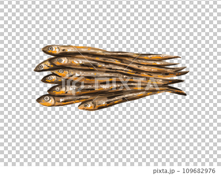 田作り　ごまめ　田作　おせち　正月　お正月　謹賀新年　年賀状　縁起物　イラスト　年賀 109682976