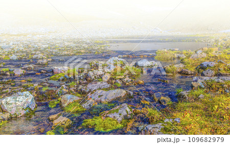 Stream in the crater of the volcano on soft sunlight on Kamchatka peninsula 109682979