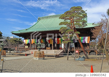 護国寺(文京) 護国寺(文京) 109683342