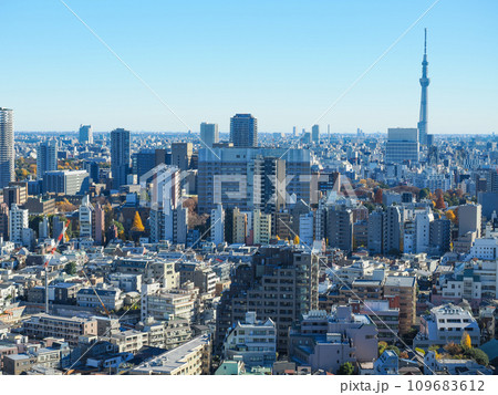 東京スカイツリーがある、東京都市風景 109683612