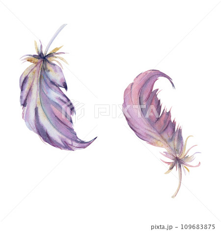 Hand drawn watercolor bird feather plume quill boho tribal ethnic indian mauve. Single object isolated on white background. Design for charm, amulet, dreamcatcher, scrapbooking, handmade craft, tattoo Hand drawn watercolor bird feather plume quill boho tribal ethnic indian mauve. Single object isolated on white background. Design for charm, amulet, dreamcatcher, scrapbooking, handmade craft, tattoo 109683875