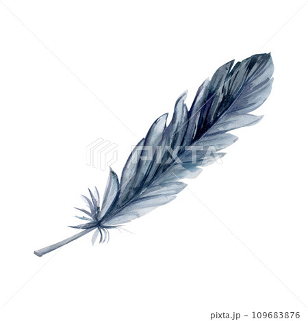 Hand drawn watercolor bird feather plume quill boho tribal ethnic indian blue black. Single object isolated on white background. Design charm amulet, dreamcatcher, scrapbooking, handmade craft, tattoo Hand drawn watercolor bird feather plume quill boho tribal ethnic indian blue black. Single object isolated on white background. Design charm amulet, dreamcatcher, scrapbooking, handmade craft, tattoo 109683876