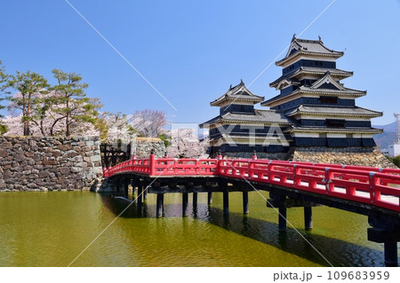 国宝 松本城 春の彩り 国宝 松本城 春の彩り 109683959