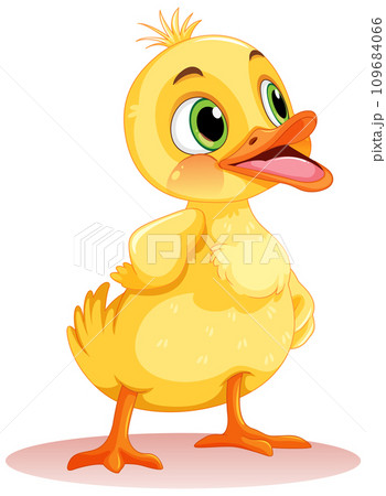 Adorable Little Duck Isolated Adorable Little Duck Isolated 109684066