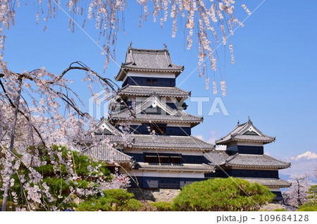 満開の桜につつまれる国宝 松本城 満開の桜につつまれる国宝 松本城 109684128
