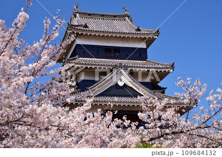 満開の桜につつまれる国宝 松本城 満開の桜につつまれる国宝 松本城 109684132