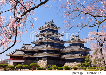 満開の桜につつまれる国宝 松本城 満開の桜につつまれる国宝 松本城 109684140