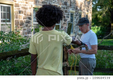 Caucasian father and African American son repair storm damaged fence Caucasian father and African American son repair storm damaged fence 109684539
