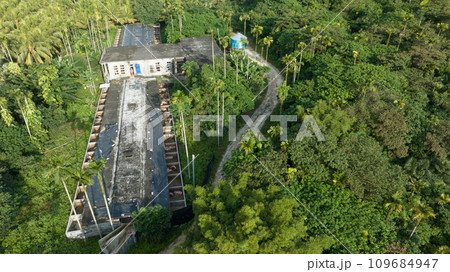 Pig farming in tropical forst Pig farming in tropical forst 109684947