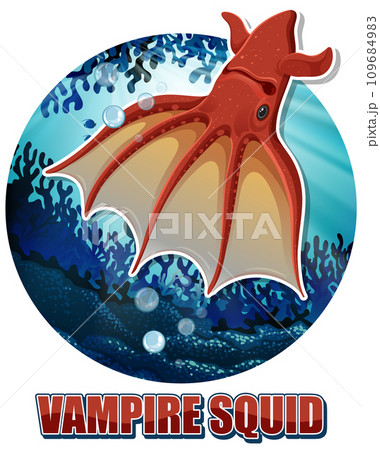 Vampire Squid Deep Sea Creature 109684983