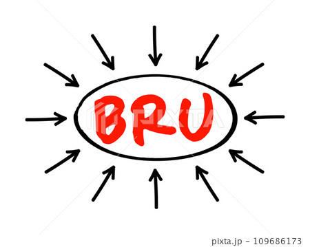 BRU - Business Recovery Unit acronym text with arrows, business concept background BRU - Business Recovery Unit acronym text with arrows, business concept background 109686173