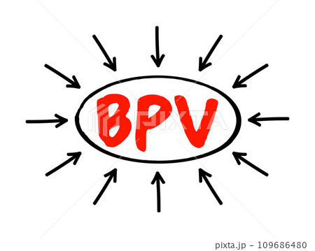 BPV Bank Payment Voucher - entries which affect the Bank accounts while making payments to vendors or refund to customer, acronym text concept with arrows 109686480