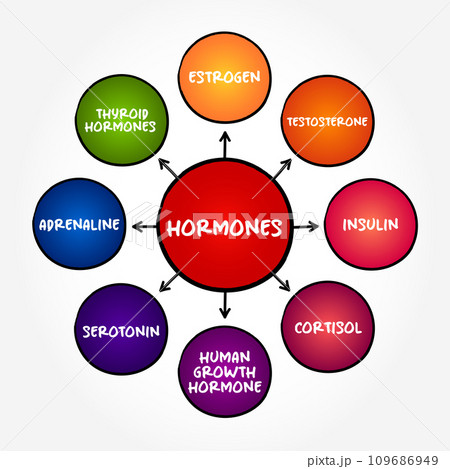 Hormones - your body's chemical messengers, mind map concept background Hormones - your body's chemical messengers, mind map concept background 109686949