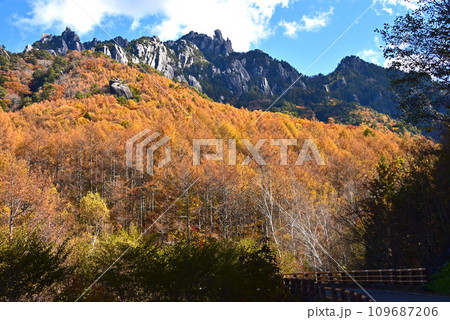 八ヶ岳　みずがき山　紅葉景色 109687206