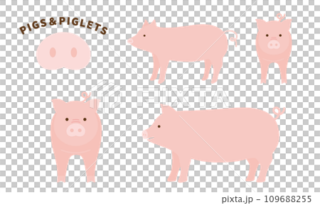 可愛的豬和小豬插圖集 109688255