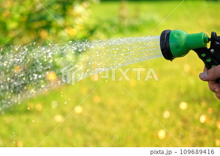 Gardener with a watering hose. Person spraying green grass lawn with hose sprayer. Irrigation with water, sunny day. Garden sprinkler in action. Landscaping. Gardening, waters, growing and plants care 109689416