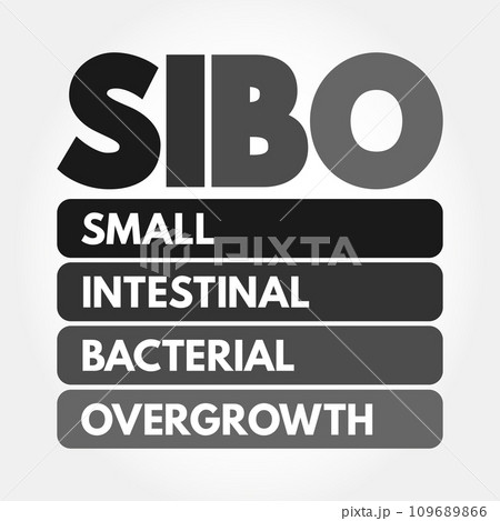 SIBO - Small Intestinal Bacterial Overgrowth is an imbalance of the microorganisms in your gut that maintain healthy digestion, acronym concept background SIBO - Small Intestinal Bacterial Overgrowth is an imbalance of the microorganisms in your gut that maintain healthy digestion, acronym concept background 109689866