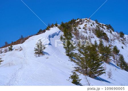 冬の長野県東御市の小烏帽子岳の南面から小烏帽子岳と烏帽子岳の山頂方面 冬の長野県東御市の小烏帽子岳の南面から小烏帽子岳と烏帽子岳の山頂方面 109690005