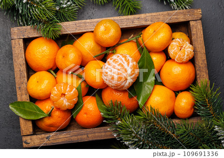 Festive citrus joy Festive citrus joy 109691336