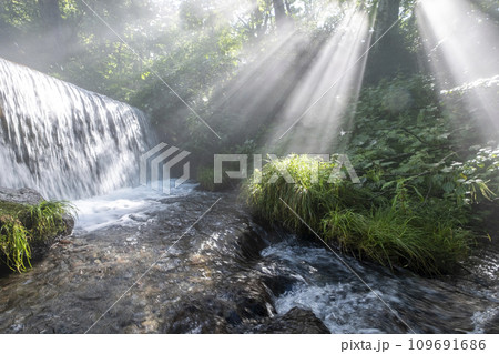 光芒(木谷沢渓流) 光芒(木谷沢渓流) 109691686