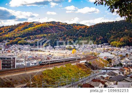 【京都風景】晩秋の紅葉に染まる山並みを走る電車 109692253