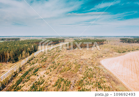 Aerial View Green Pine Forest Deforestation Area Landscape, Agri 109692493