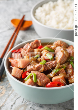 Babi kecap is an Indonesian braised pork with sweet soy sauce kecap manis served with rice closeup. Vertical Babi kecap is an Indonesian braised pork with sweet soy sauce kecap manis served with rice closeup. Vertical 109693231