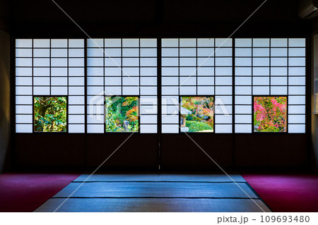 京都市東山区　雲竜院　蓮華の間から望む紅葉の庭園 109693480