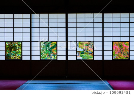 京都市東山区 雲竜院 蓮華の間から望む紅葉の庭園 京都市東山区 雲竜院 蓮華の間から望む紅葉の庭園 109693481