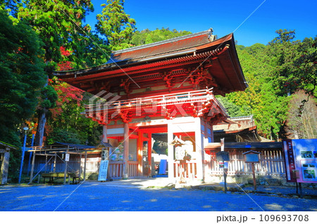 【滋賀県】晴天の日吉大社の西本宮楼門 【滋賀県】晴天の日吉大社の西本宮楼門 109693708