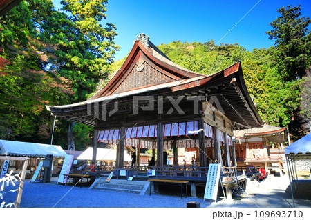 【滋賀県】晴天の日吉大社の紅葉（西本宮） 109693710