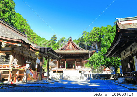 【滋賀県】晴天の日吉大社(東本宮) 【滋賀県】晴天の日吉大社(東本宮) 109693714