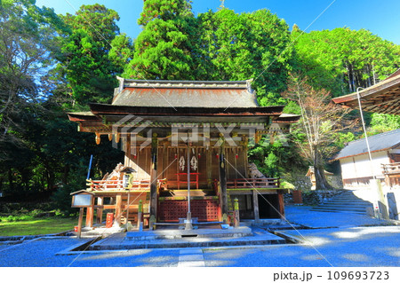 【滋賀県】晴天の日吉大社（東本宮） 109693723