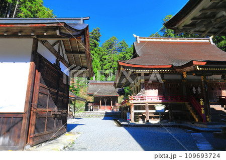 【滋賀県】晴天の日吉大社(東本宮) 【滋賀県】晴天の日吉大社(東本宮) 109693724