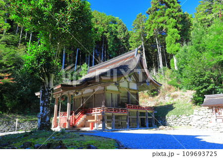 【滋賀県】晴天の日吉大社(東本宮) 【滋賀県】晴天の日吉大社(東本宮) 109693725