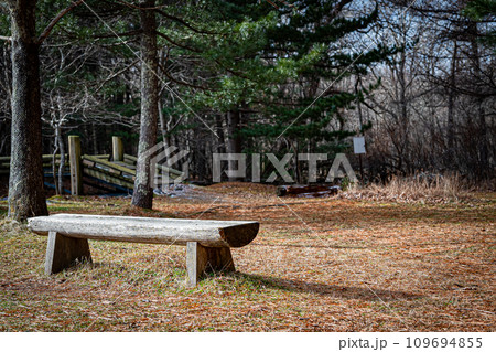 苫小牧の北大研究林の風景 苫小牧の北大研究林の風景 109694855