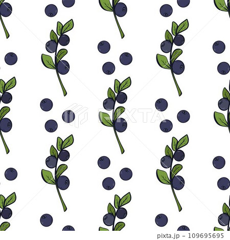 Blueberries on twigs seamless pattern 109695695