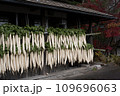 軒下に干した大根 干し大根 風物詩 109696063