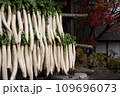軒下に干した大根 干し大根 風物詩6 109696073