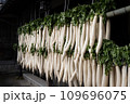 軒下に干した大根 干し大根 風物詩7 109696075