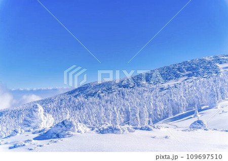 冬の青空と蔵王の樹氷　スノーモンスター　山形県山形市 109697510