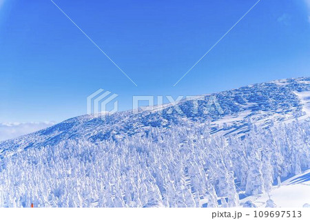 冬の青空と蔵王の樹氷　スノーモンスター　山形県山形市 109697513