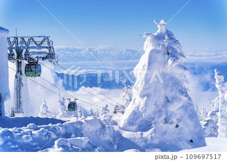 冬の青空と蔵王の樹氷　スノーモンスター　山形県山形市 109697517