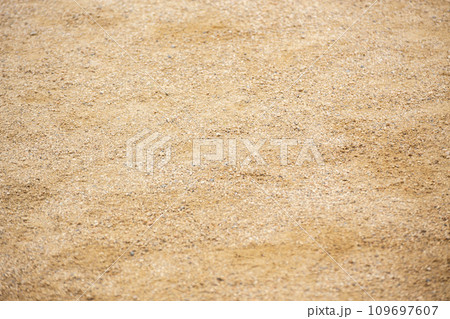 小学校の運動場 109697607