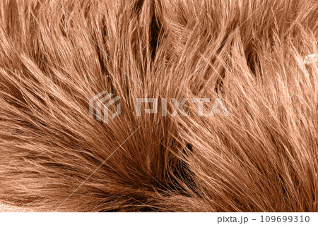 Close-up of textured grass in peach fuzz color. Color of year 2024 - Peach Fuzz 109699310