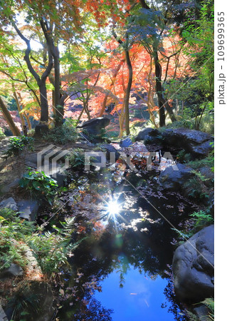 東京都立殿ヶ谷戸庭園 東京都国分寺市 東京都立殿ヶ谷戸庭園 東京都国分寺市 109699365