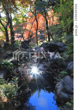 東京都立殿ヶ谷戸庭園 東京都国分寺市 東京都立殿ヶ谷戸庭園 東京都国分寺市 109699366