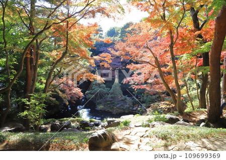 東京都立殿ヶ谷戸庭園　東京都国分寺市 109699369
