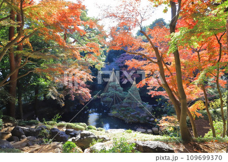 東京都立殿ヶ谷戸庭園　東京都国分寺市 109699370
